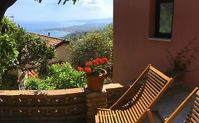 Margot'S House